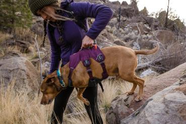 Ruffwear Web Master Harness Purple Rain Gr. M